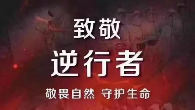 【智汇堂】集团捐赠物资支援一线，为战疫做后勤保障